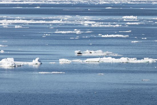 Russia North Pole Icebreaker Expedition