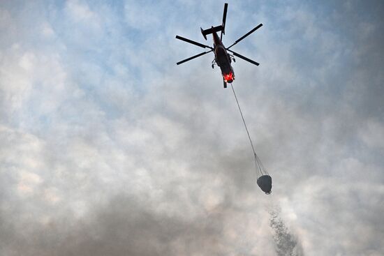 Russia Education Digitalization Centre Fire