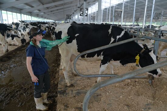 Russia Agriculture