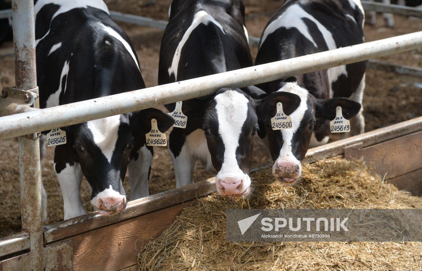 Russia Agriculture