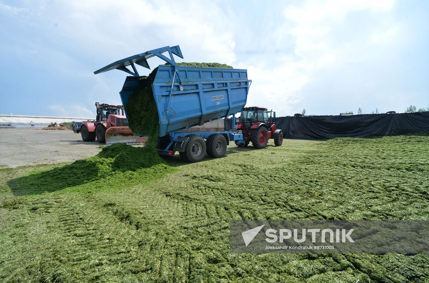 Russia Agriculture