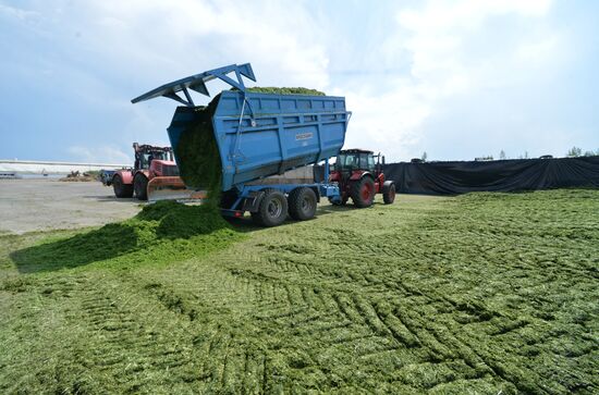 Russia Agriculture