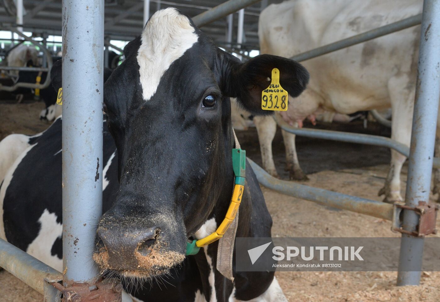 Russia Agriculture