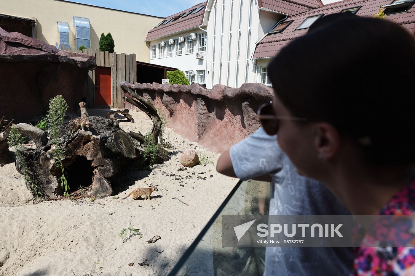 Russia Zoo Meerkats