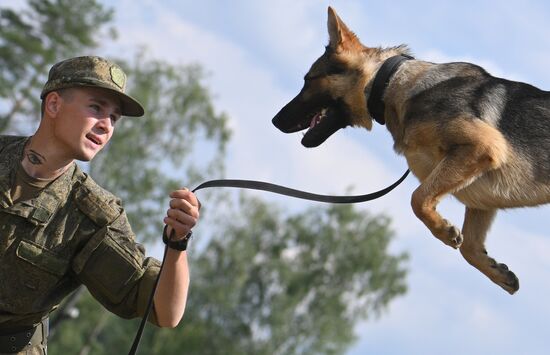 Russia Defence Engineer Troops Training