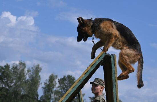 Russia Defence Engineer Troops Training