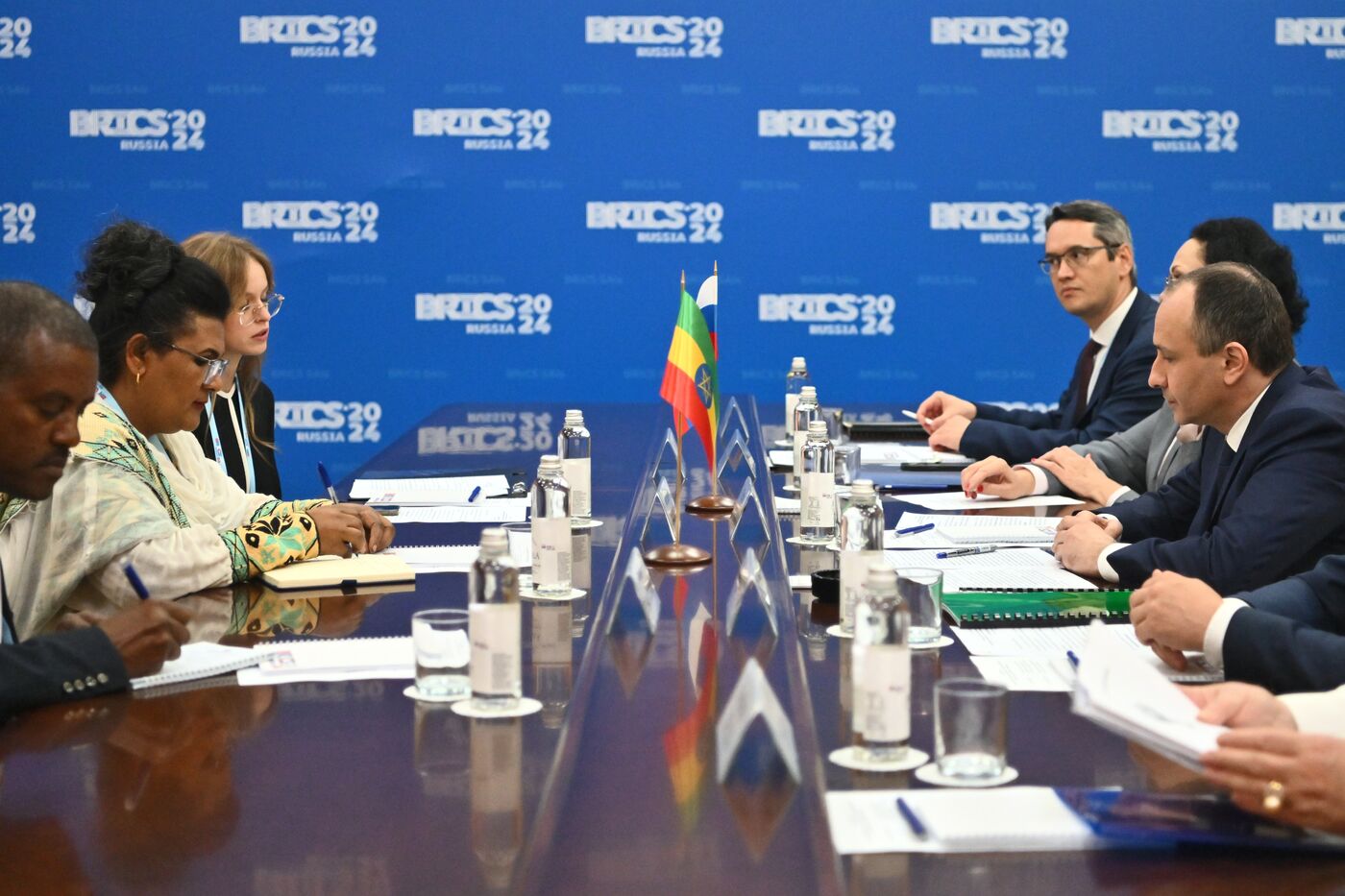 Bilateral meetings of heads of BRICS Supreme Audit Institutions