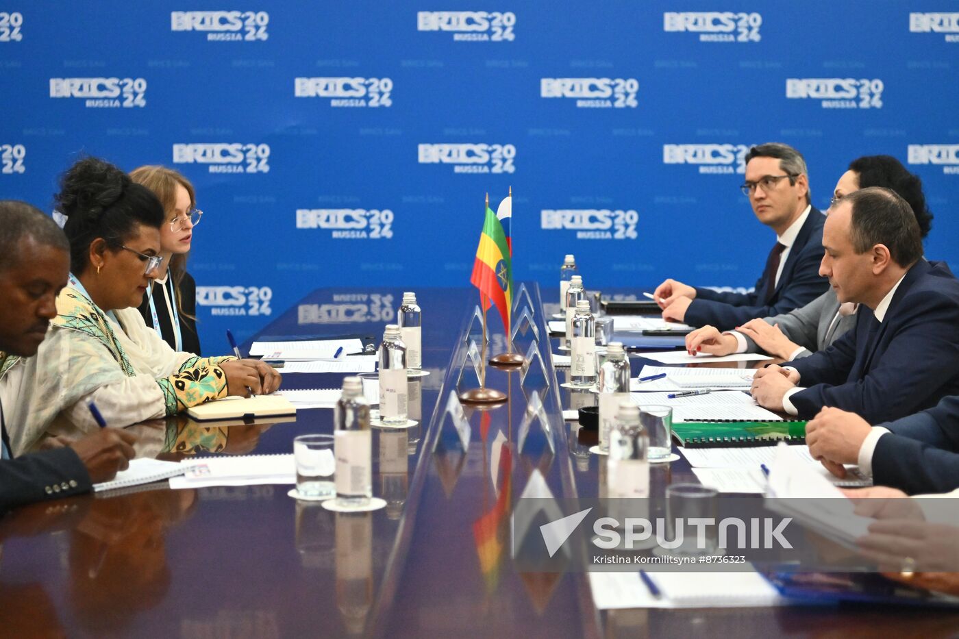 Bilateral meetings of heads of BRICS Supreme Audit Institutions