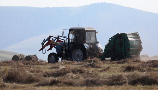 Russia Agriculture Fodder