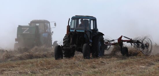 Russia Agriculture Fodder