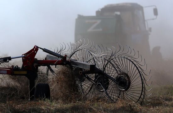 Russia Agriculture Fodder