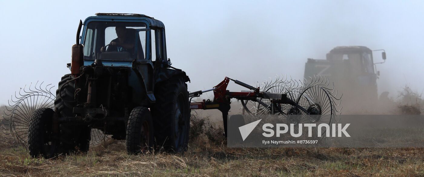 Russia Agriculture Fodder