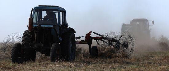 Russia Agriculture Fodder