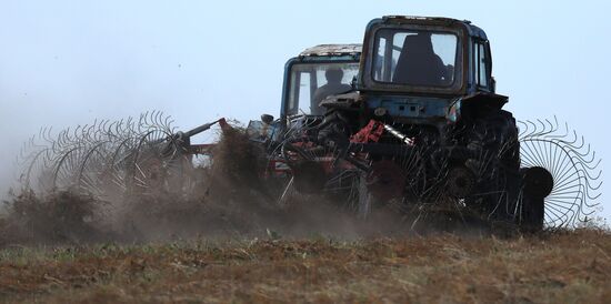 Russia Agriculture Fodder