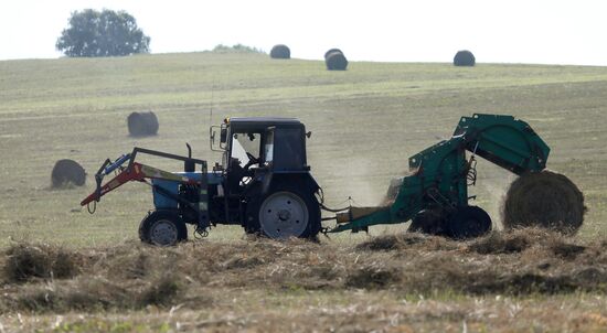 Russia Agriculture Fodder