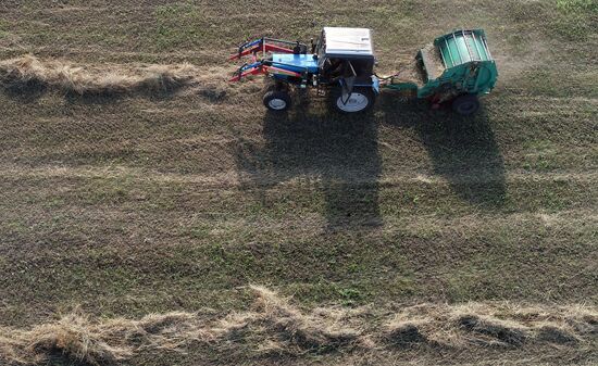 Russia Agriculture Fodder