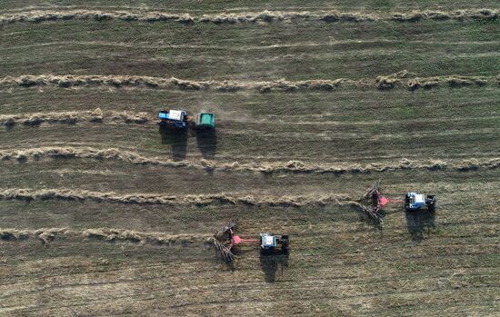 Russia Agriculture Fodder