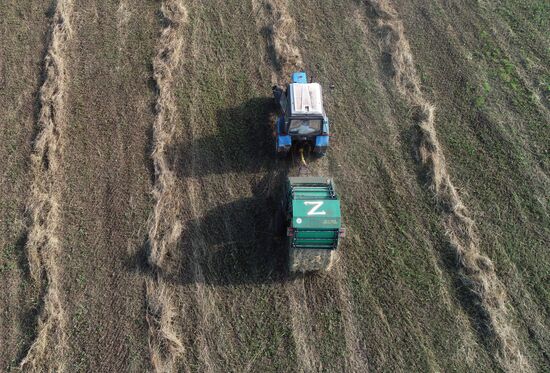 Russia Agriculture Fodder