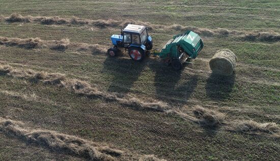 Russia Agriculture Fodder