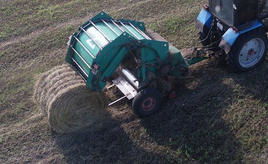 Russia Agriculture Fodder