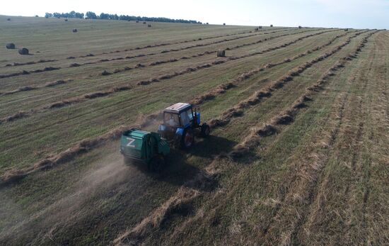 Russia Agriculture Fodder