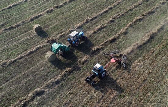 Russia Agriculture Fodder