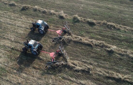 Russia Agriculture Fodder