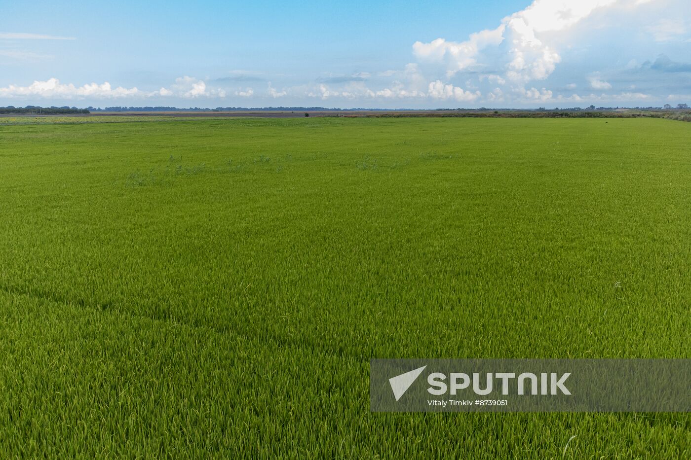 Russia Agriculture Rice