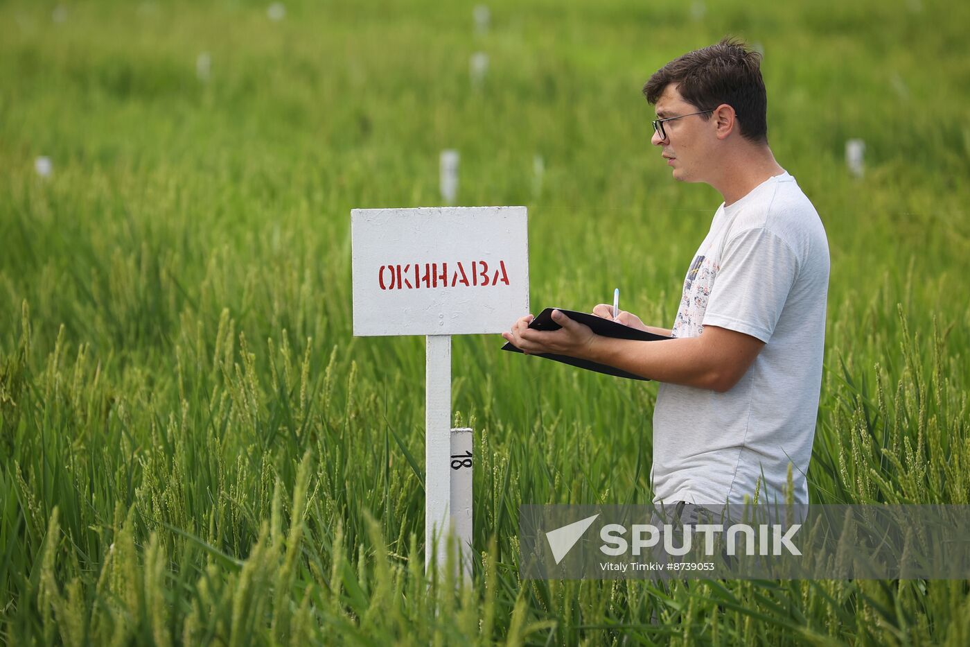 Russia Agriculture Rice