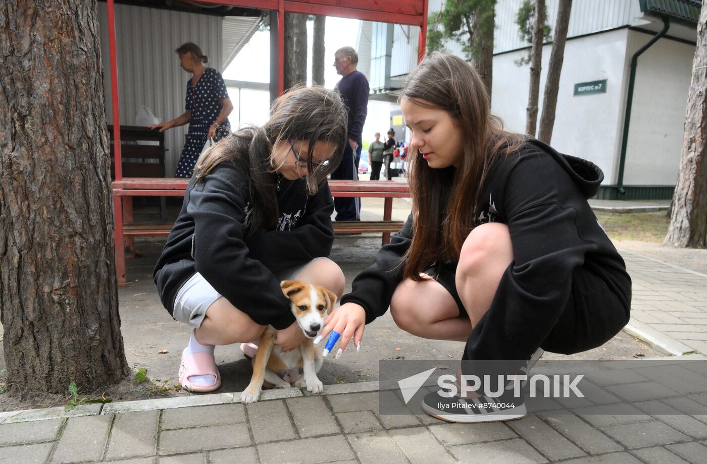 Russia Ukraine Kursk Attack Evacuees