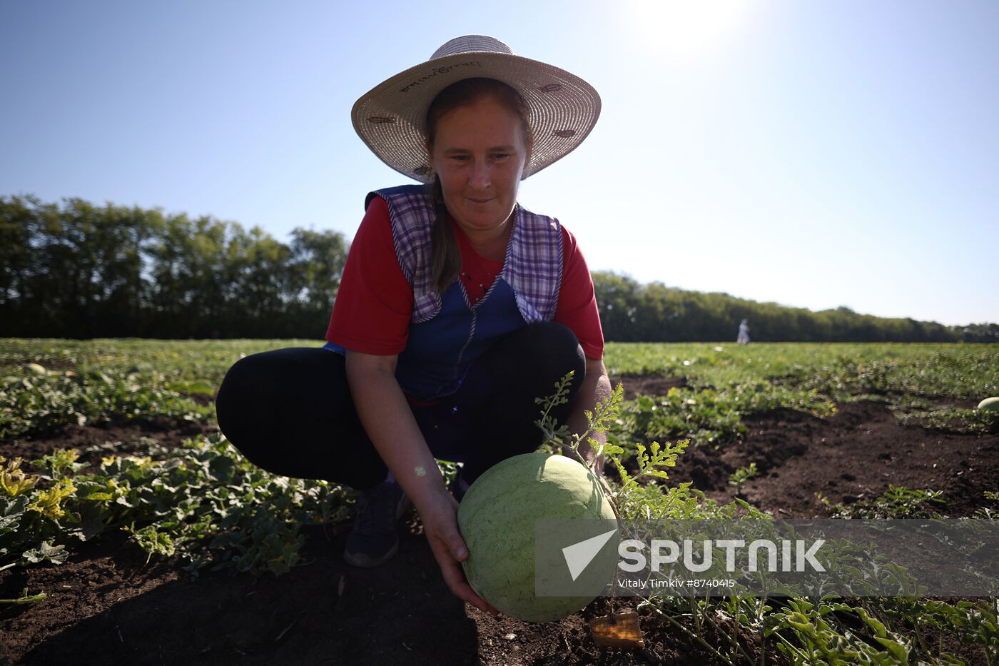 Russia Agriculture Watermelons