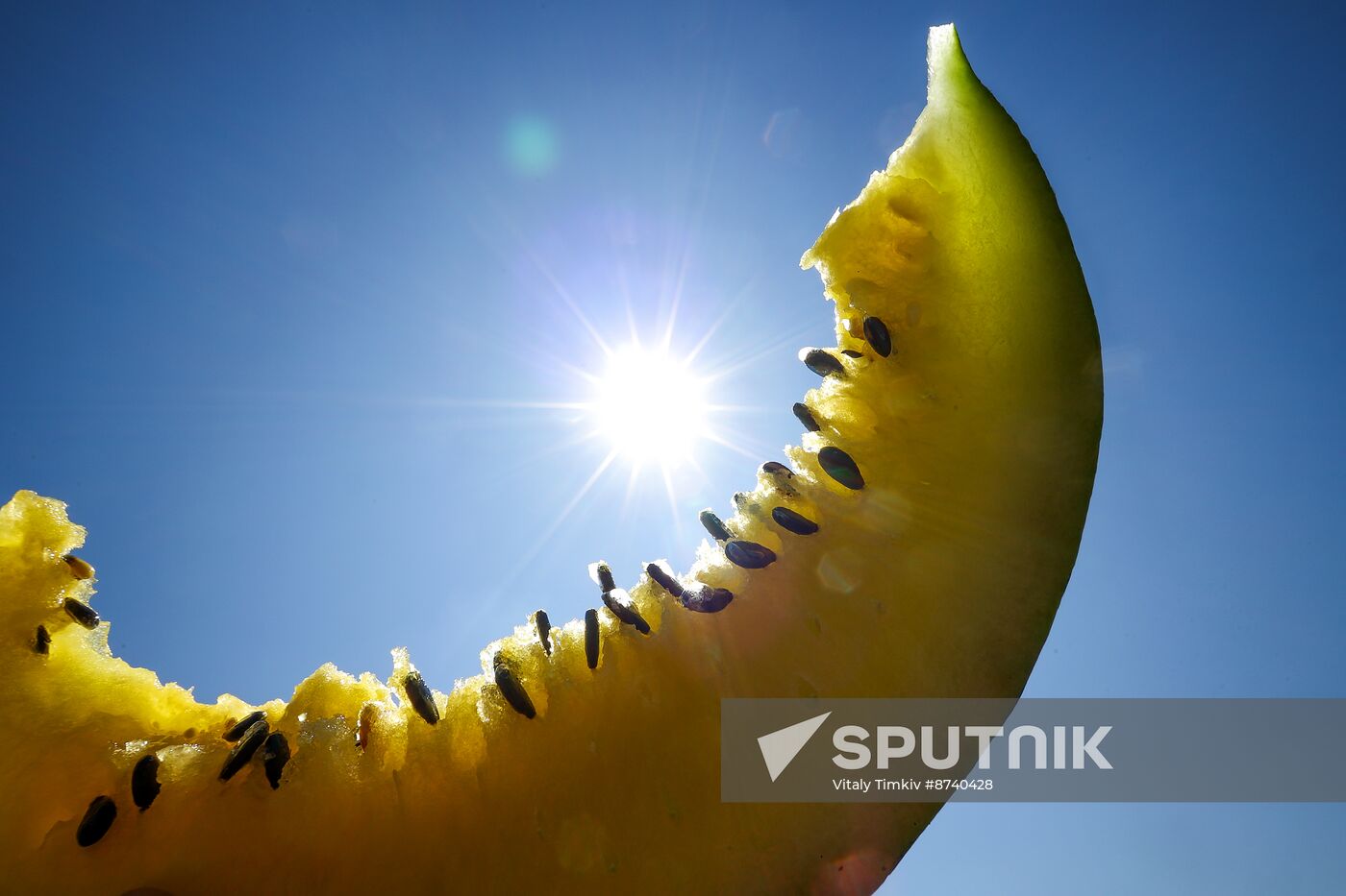 Russia Agriculture Watermelons