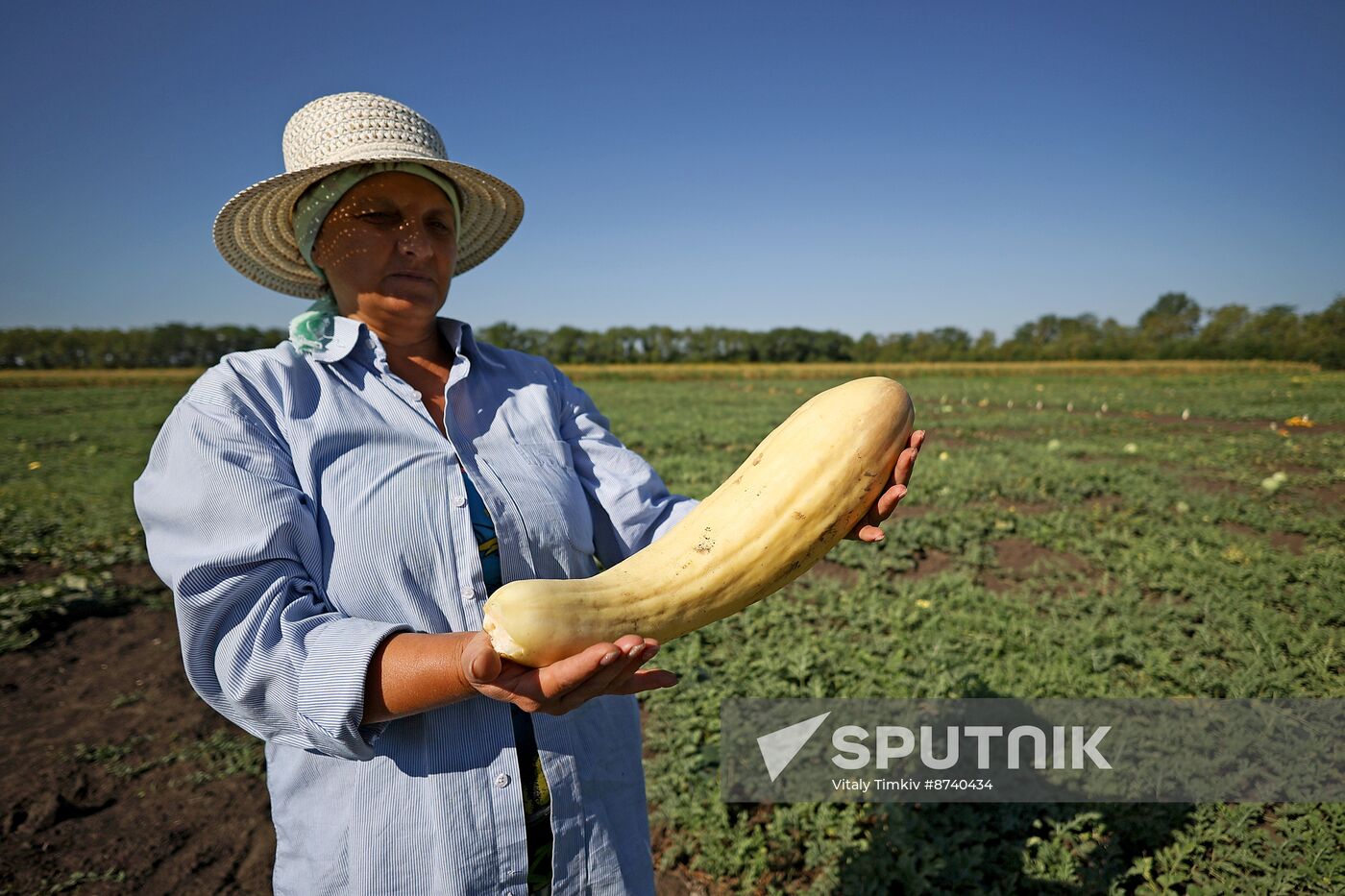 Russia Agriculture Watermelons