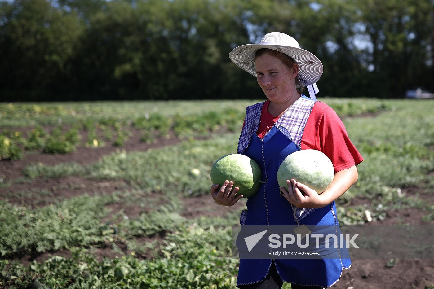 Russia Agriculture Watermelons