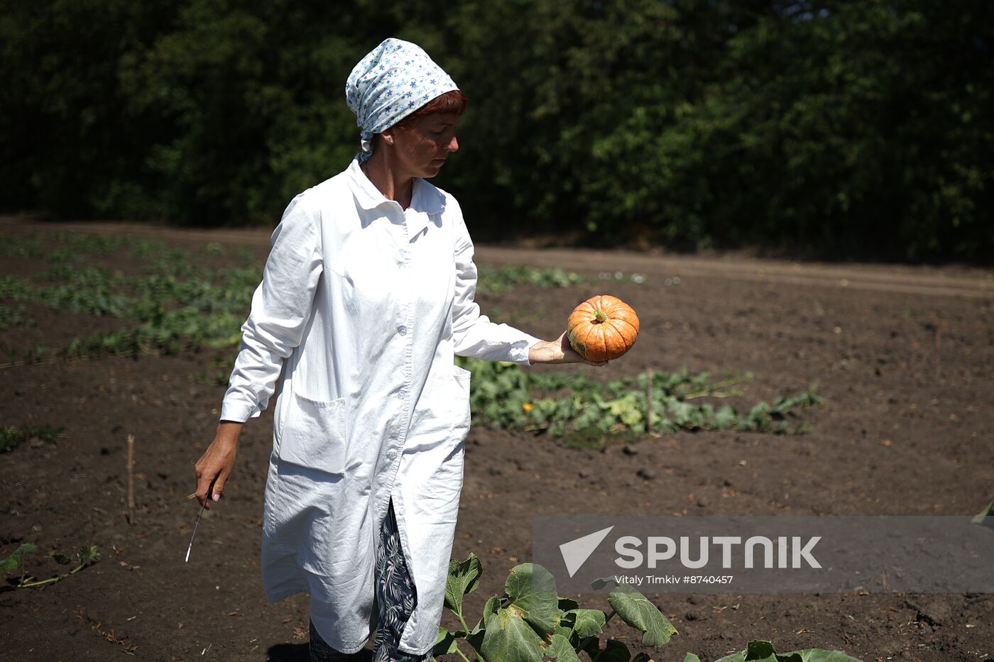 Russia Agriculture Watermelons