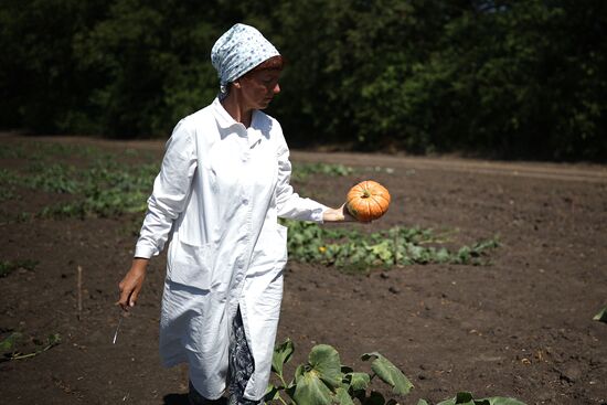 Russia Agriculture Watermelons