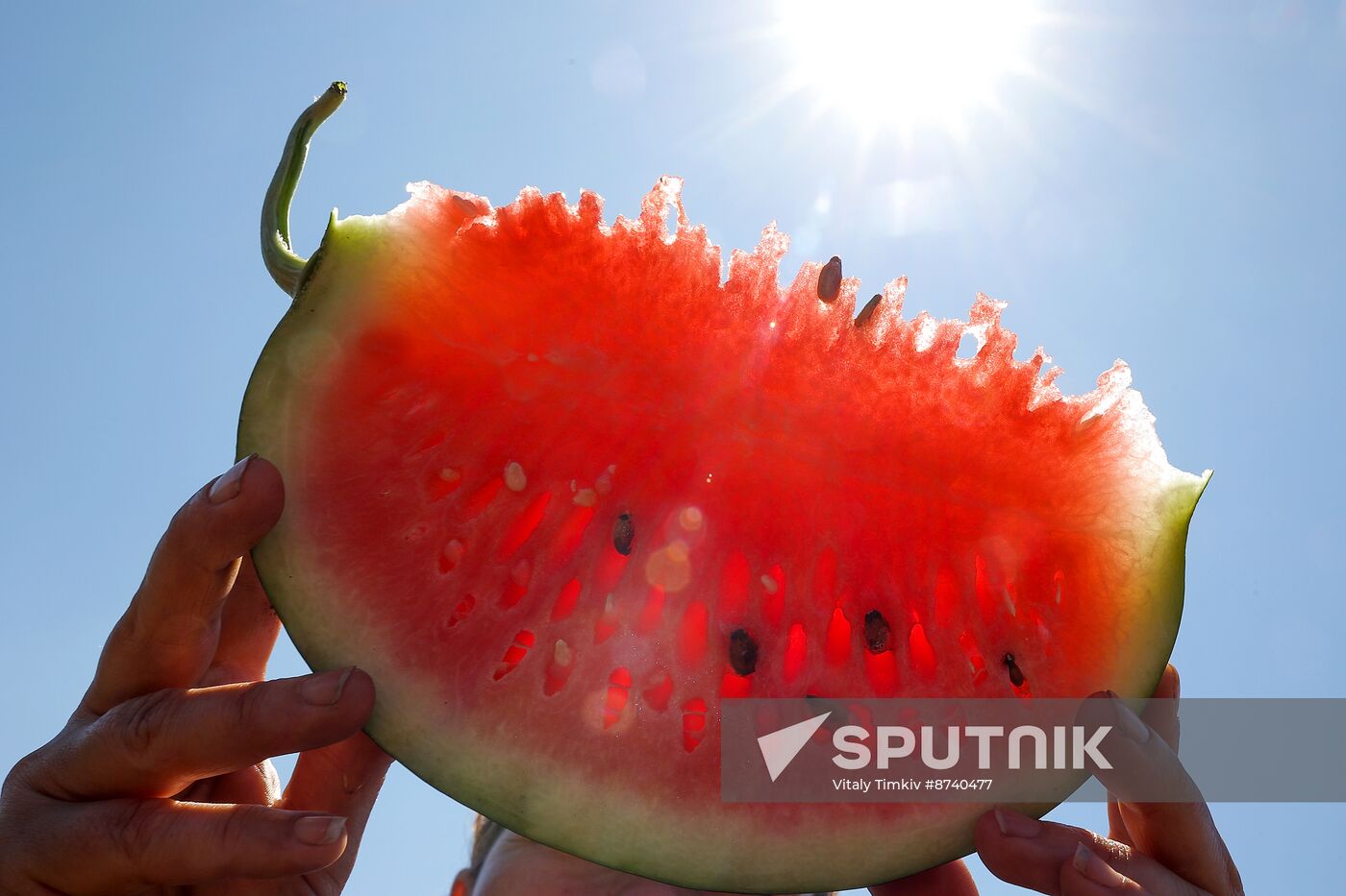 Russia Agriculture Watermelons