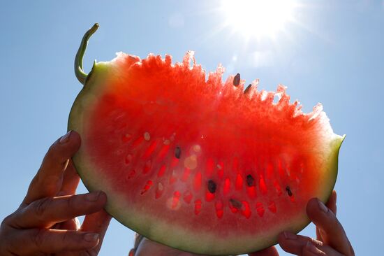 Russia Agriculture Watermelons