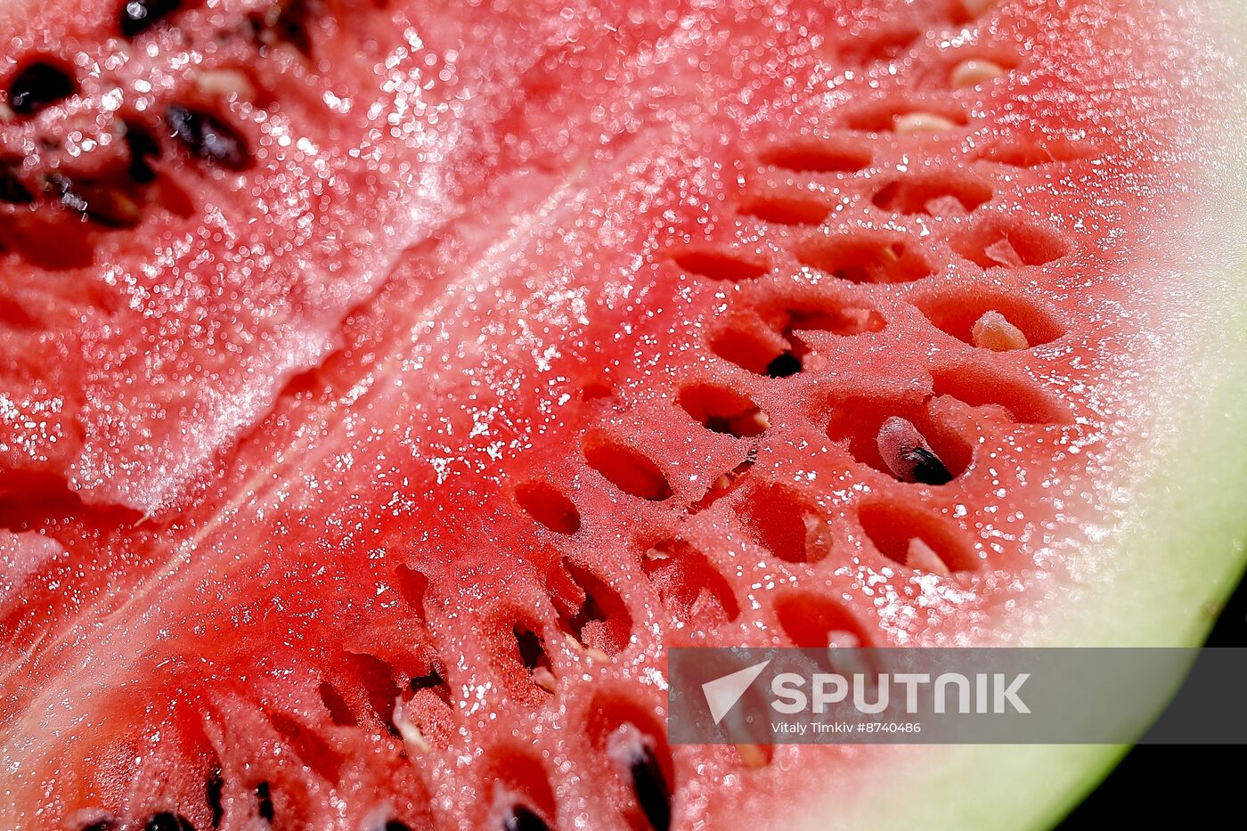 Russia Agriculture Watermelons