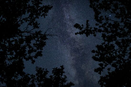 Russia Perseid Meteor Shower