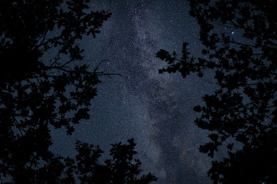 Russia Perseid Meteor Shower