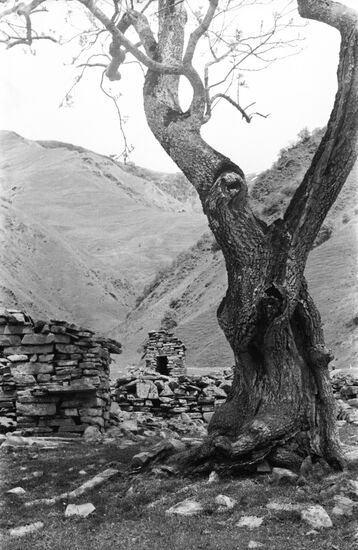 Mutso highland village fortress in northern Georgia