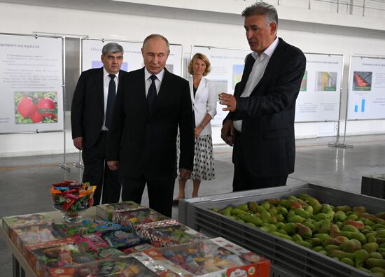 Russia Putin North Caucasian Federal District Kabardino-Balkaria