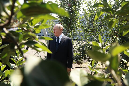 Russia Putin North Caucasian Federal District Kabardino-Balkaria