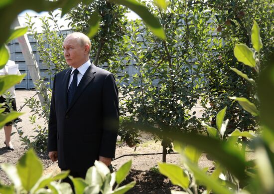 Russia Putin North Caucasian Federal District Kabardino-Balkaria