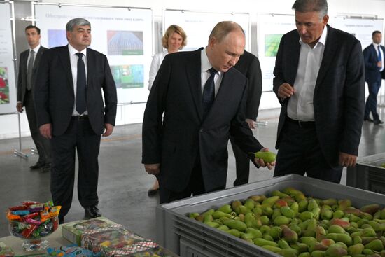 Russia Putin North Caucasian Federal District Kabardino-Balkaria
