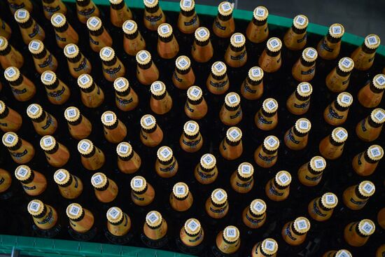 Russia Brewing Industry