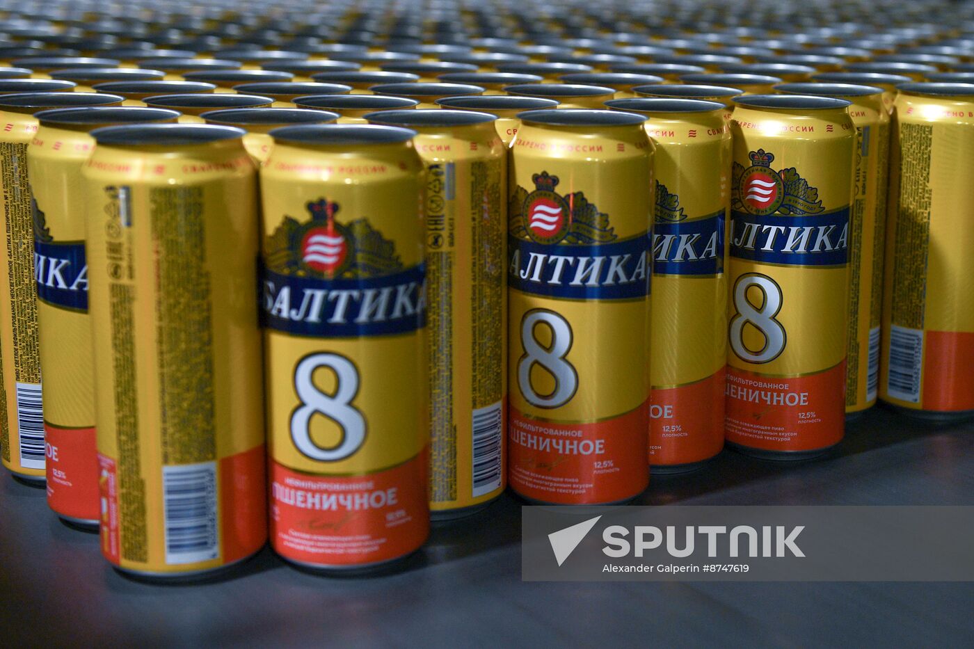 Russia Brewing Industry