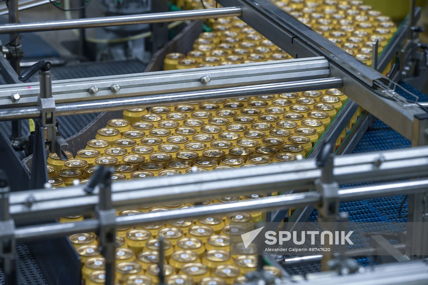 Russia Brewing Industry