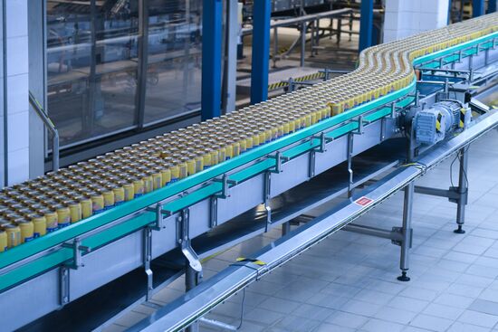 Russia Brewing Industry